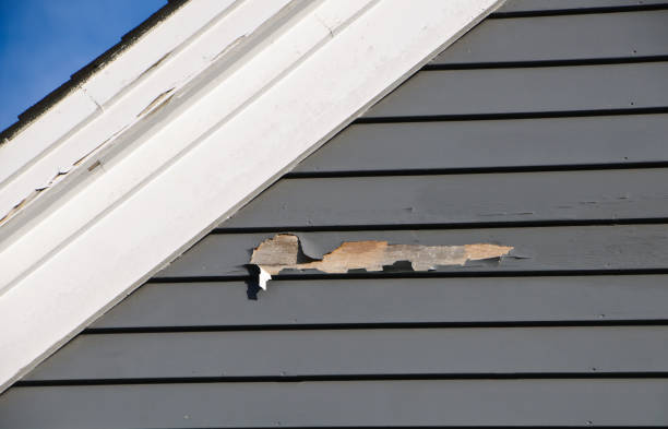 How To Choose The Right Materials for Your Siding Installation in 'Pine Bluffs, WY