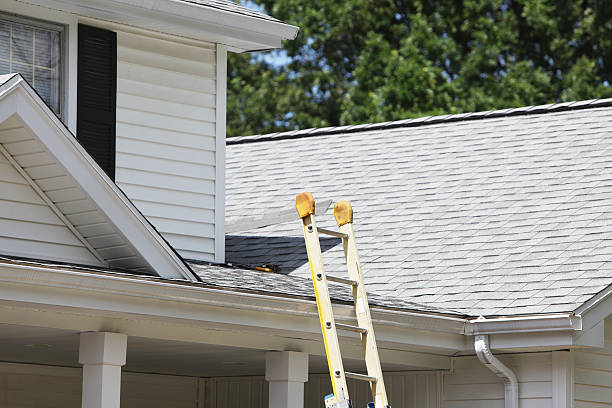 Best Stone Veneer Siding  in Pine Bluffs, WY